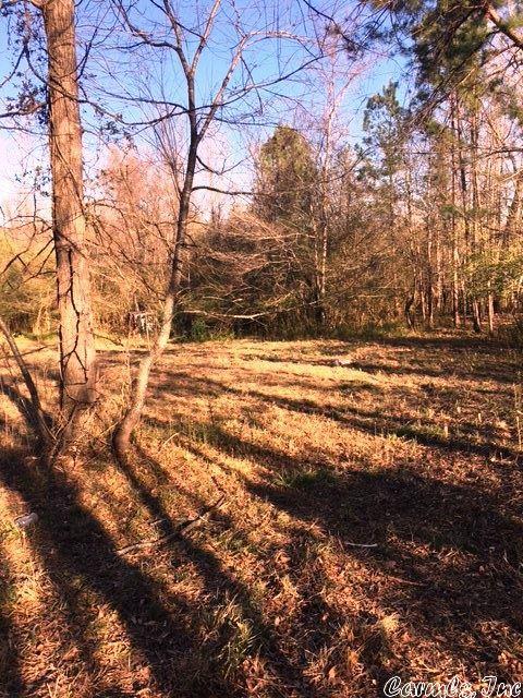 3315 Hilldale Rd, Alexander, AR 72002 photo 2