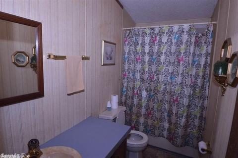 9509 E Sardis Rd, Mabelvale, AR 72103 photo 10