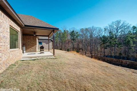 11904 Stonegate Dr, Alexander, AR 72002 photo 39