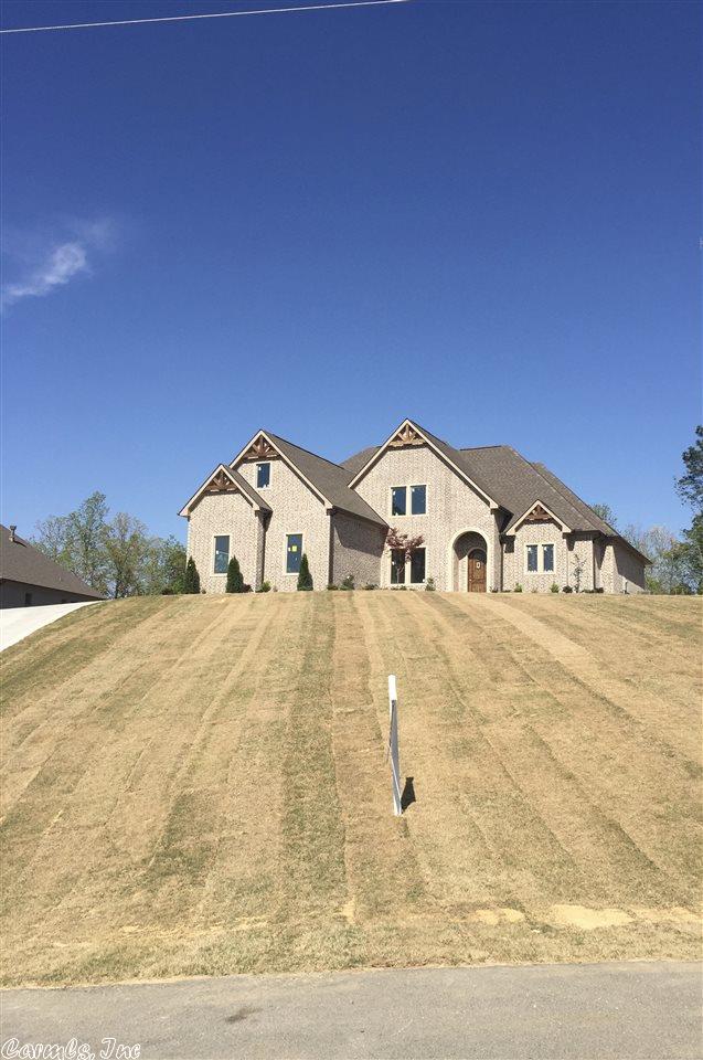 9040 Stone Canyon Dr, Alexander, AR 72002 photo 1