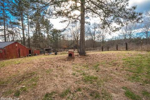 10228 Fairview, Mabelvale, AR 72103 photo 25