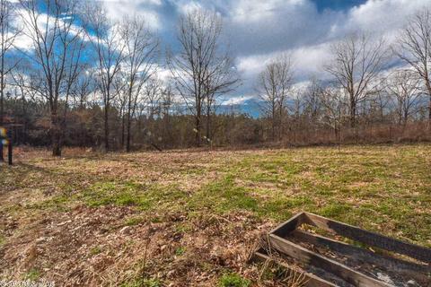 10228 Fairview, Mabelvale, AR 72103 photo 28