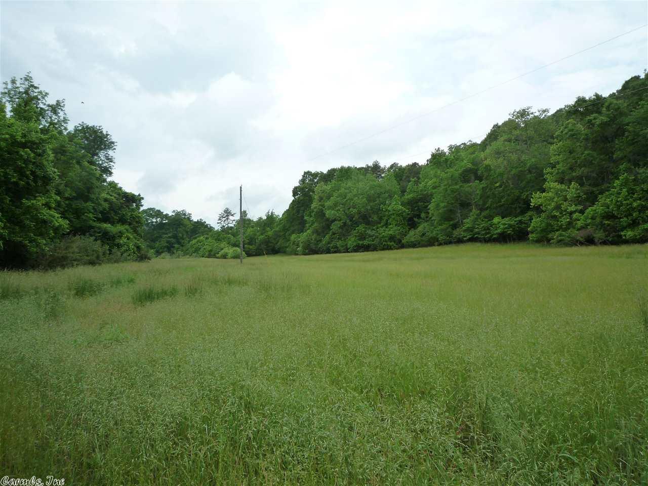 477 Forbes Rd, Mount Ida, AR 71957 photo 31