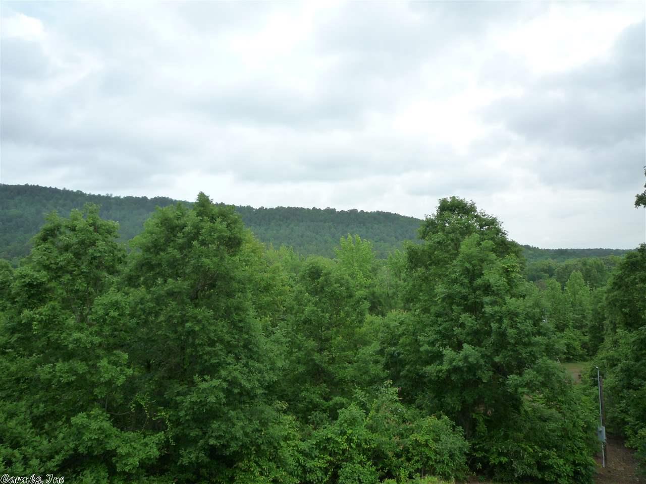 477 Forbes Rd, Mount Ida, AR 71957 photo 17