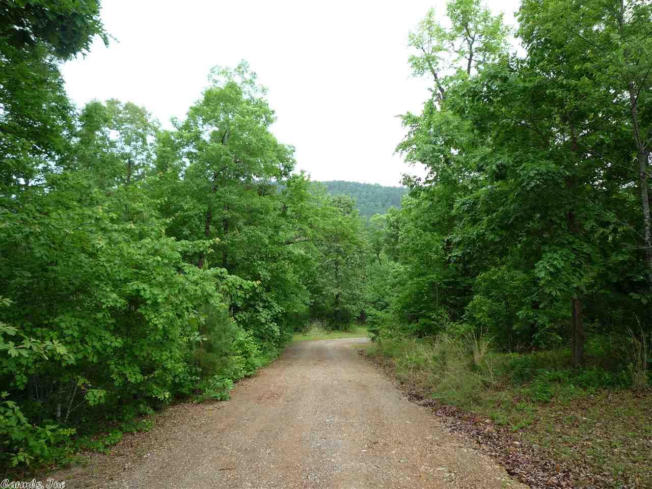 477 Forbes Rd, Mount Ida, AR 71957 photo 19