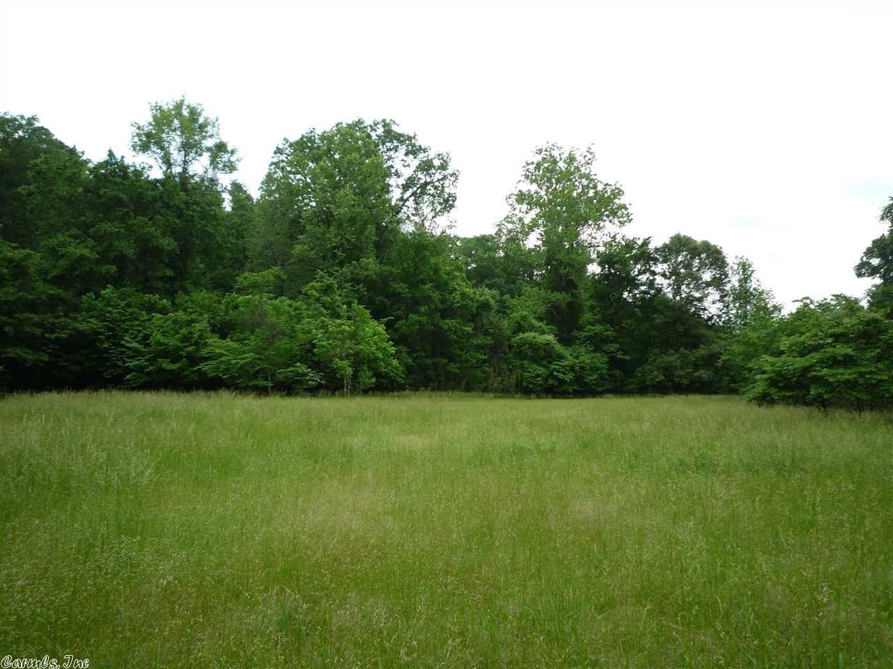 477 Forbes Rd, Mount Ida, AR 71957 photo 36