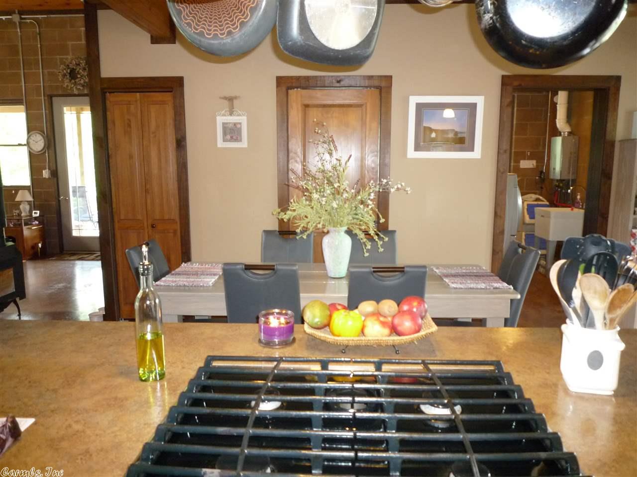 477 Forbes Rd, Mount Ida, AR 71957 photo 9