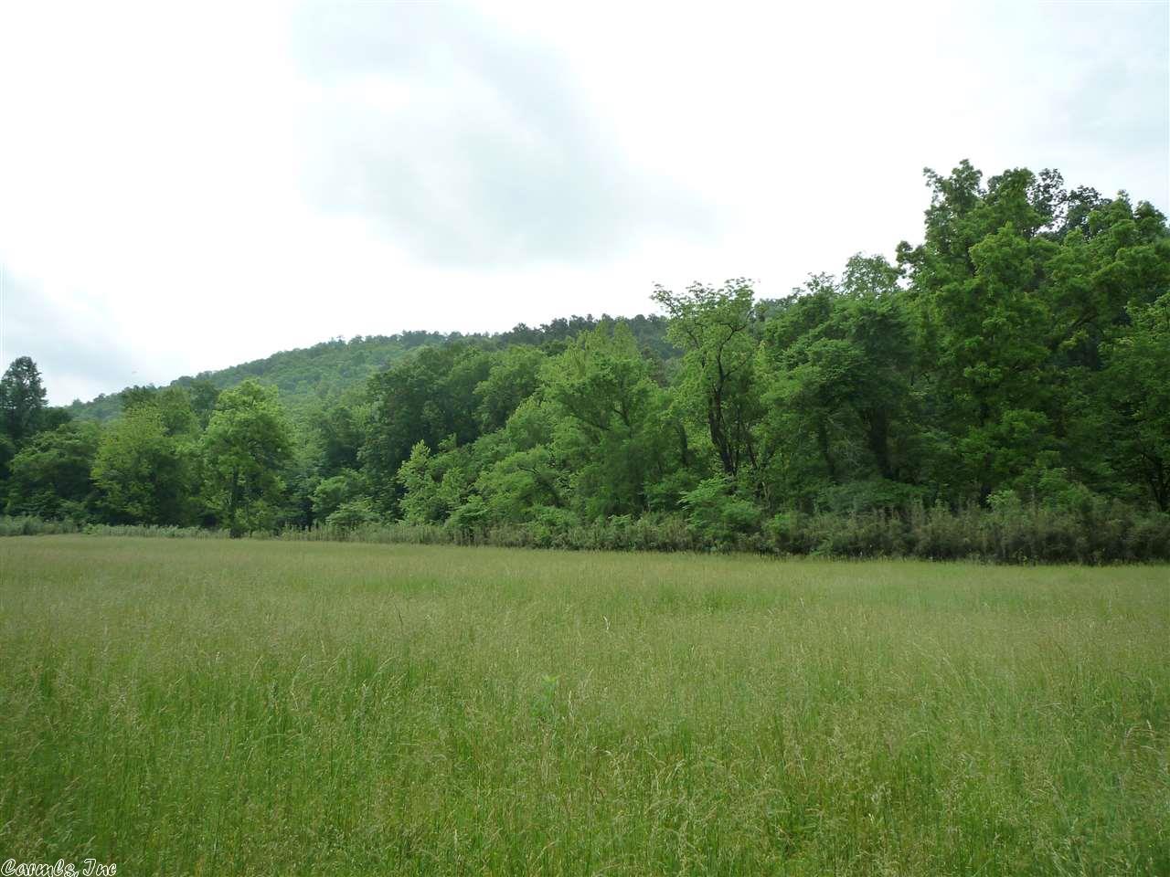 477 Forbes Rd, Mount Ida, AR 71957 photo 27