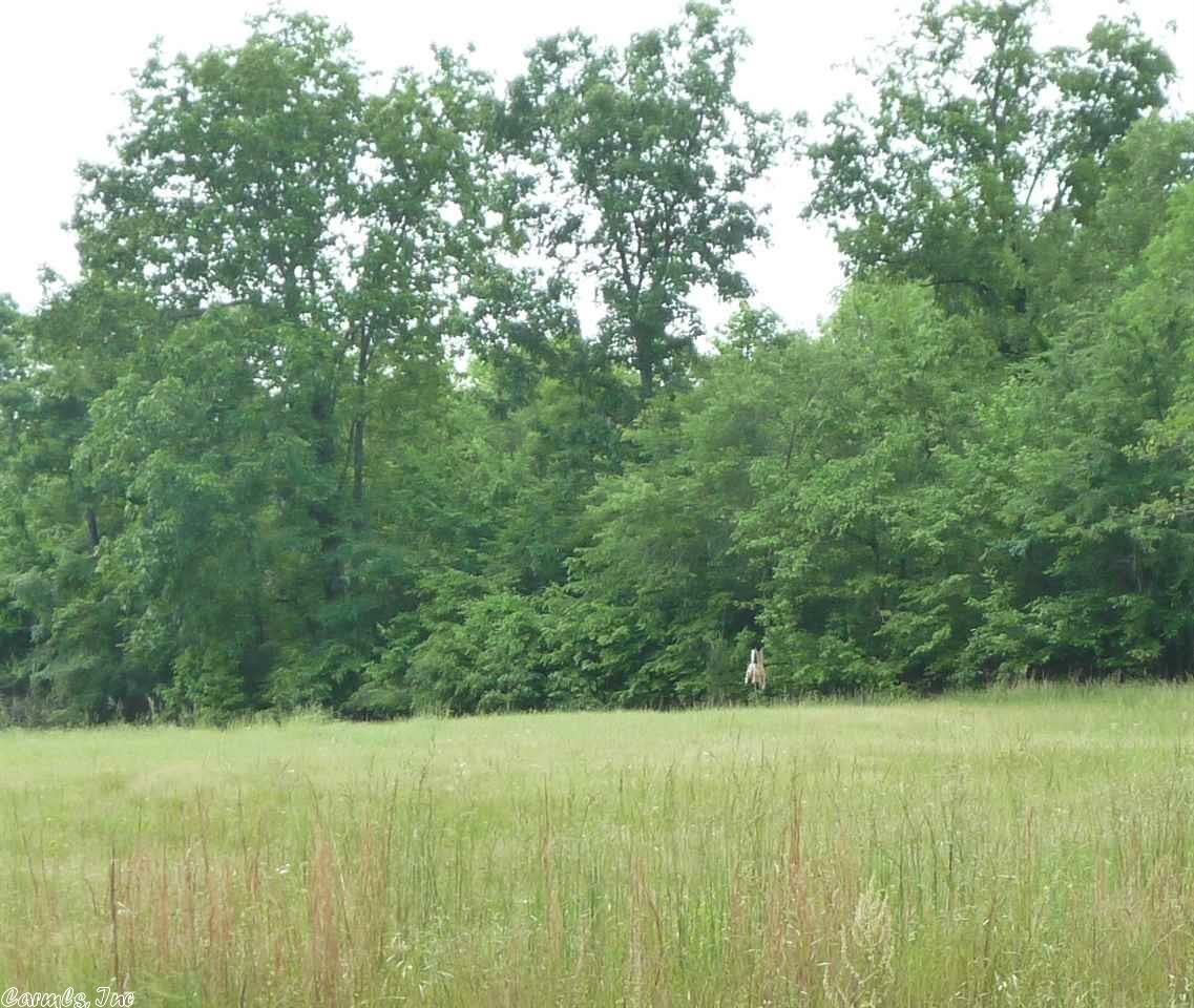 477 Forbes Rd, Mount Ida, AR 71957 photo 38