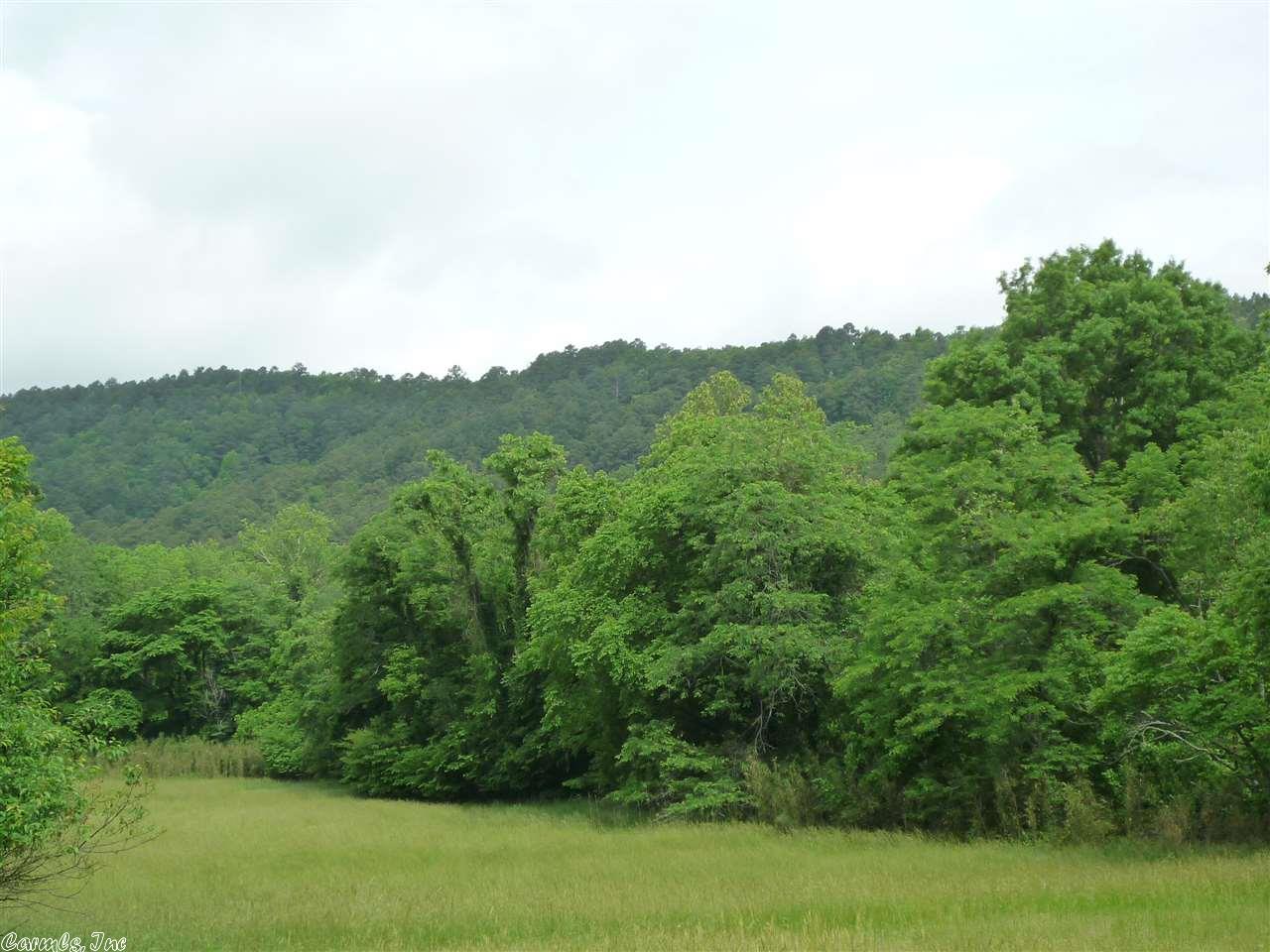 477 Forbes Rd, Mount Ida, AR 71957 photo 28