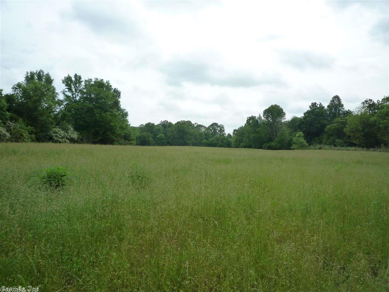 477 Forbes Rd, Mount Ida, AR 71957 photo 23