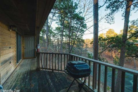 23 Pine Cv, Mount Ida, AR 71957 photo 25