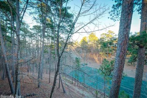 23 Pine Cv, Mount Ida, AR 71957 photo 26