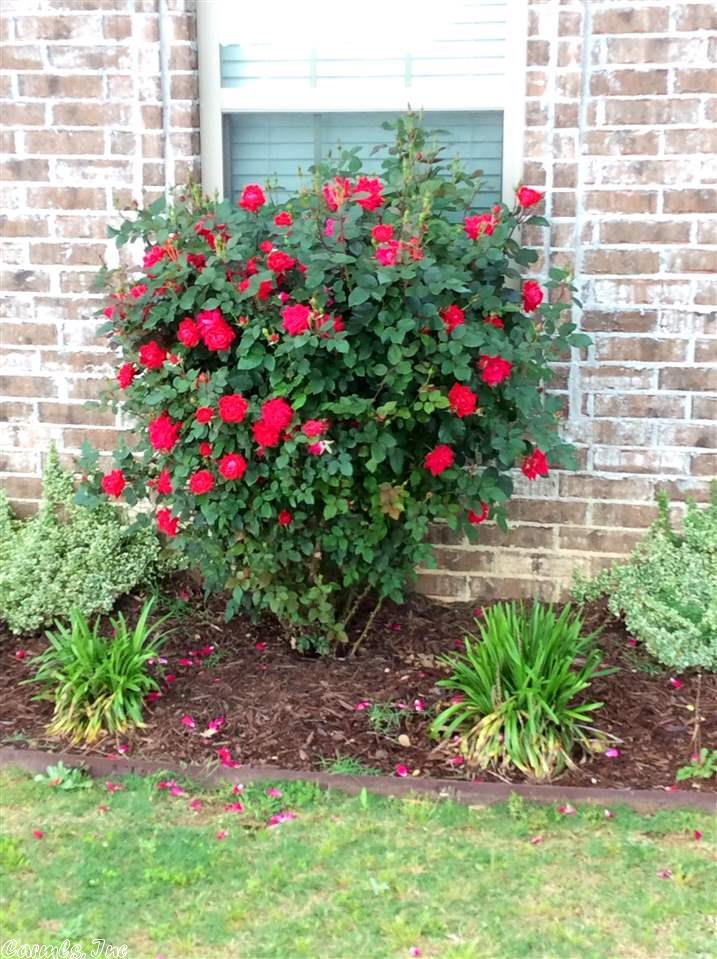 100 Conner Loop, Judsonia, AR 72081 photo 15