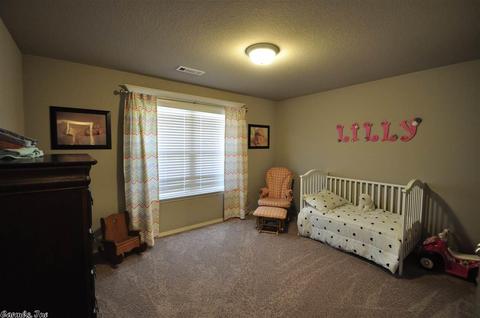 10017 Valley Ridge Dr, Alexander, AR 72002 photo 16