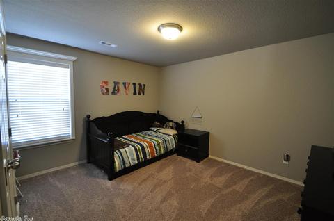 10017 Valley Ridge Dr, Alexander, AR 72002 photo 19