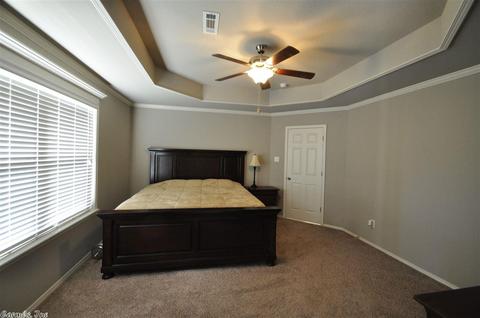 10017 Valley Ridge Dr, Alexander, AR 72002 photo 10