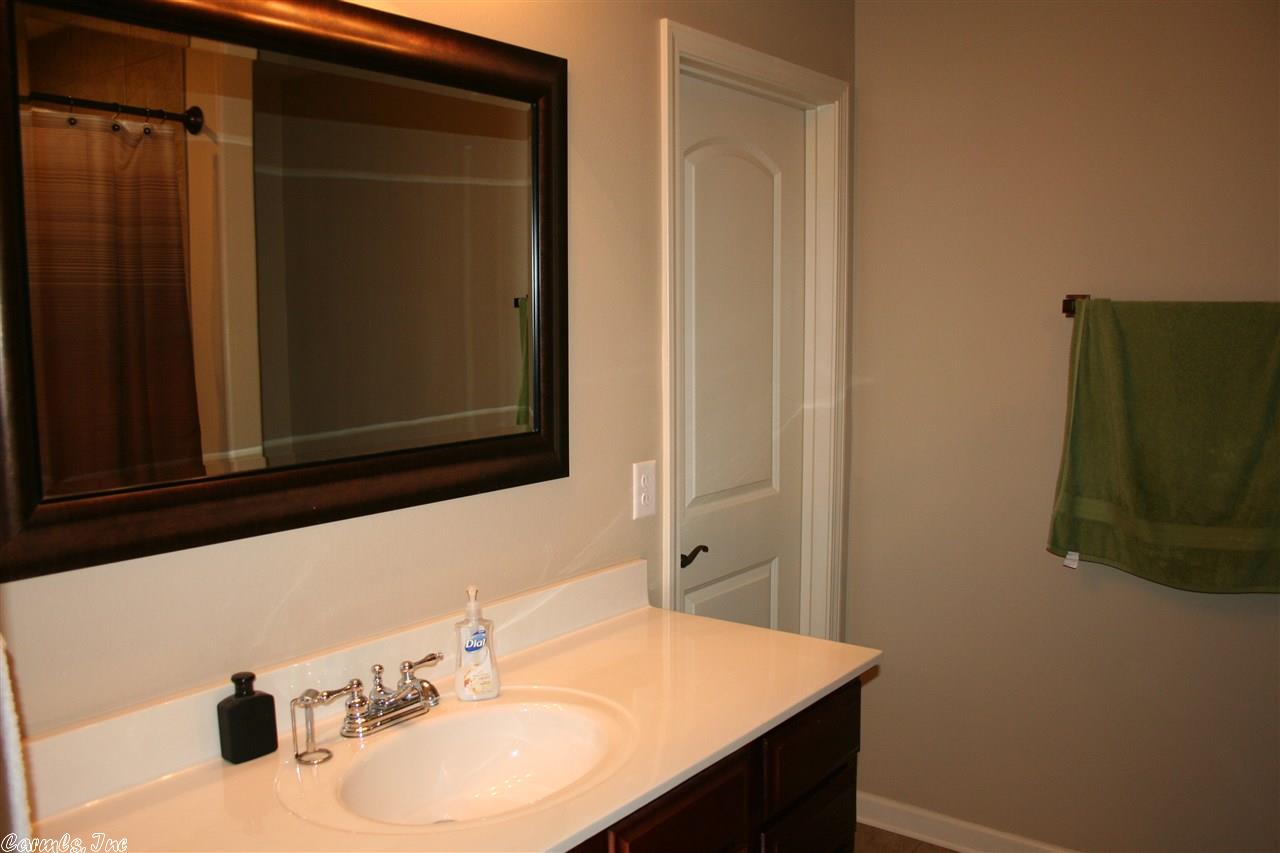 6916 N Haven Dr, Alexander, AR 72002 photo 22