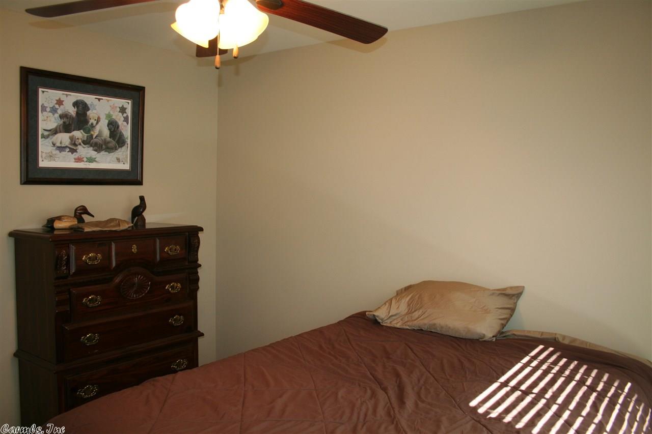 6916 N Haven Dr, Alexander, AR 72002 photo 19