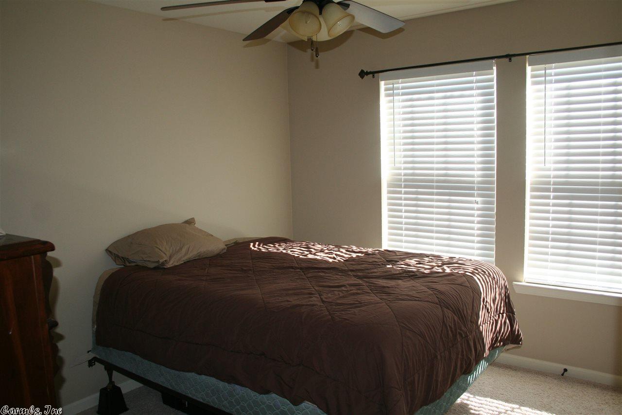 6916 N Haven Dr, Alexander, AR 72002 photo 20