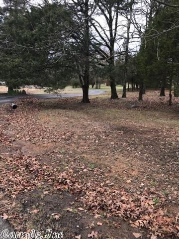 36 Seven Pt, Cabot, AR 72023 photo 19