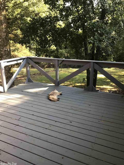 36 Seven Pt, Cabot, AR 72023 photo 9