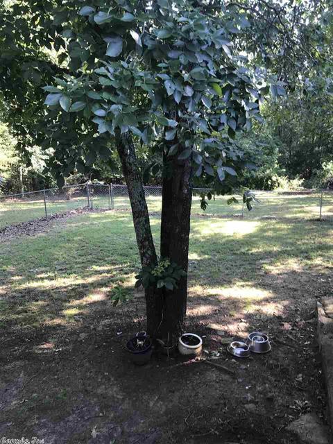 36 Seven Pt, Cabot, AR 72023 photo 11