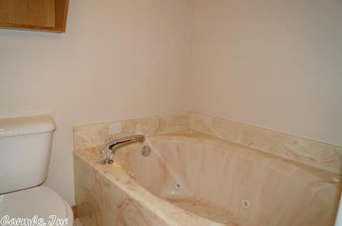 10 Eagle Dr, Lonoke, AR 72086 photo 21
