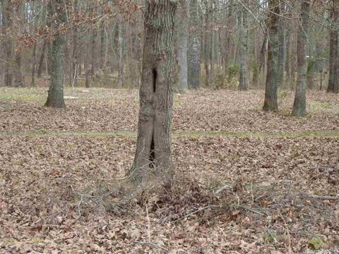 24 Michelle, Austin, AR 72023 photo 11