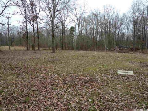 24 Michelle, Austin, AR 72023 photo 6