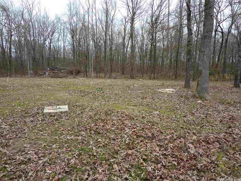 24 Michelle, Austin, AR 72023 photo 5