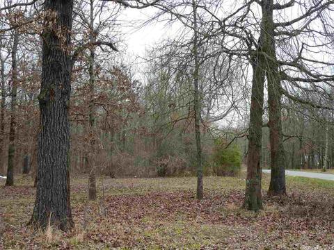 24 Michelle, Austin, AR 72023 photo 13