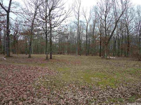 24 Michelle, Austin, AR 72023 photo 2