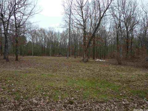 24 Michelle, Austin, AR 72023 photo 1