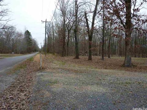 24 Michelle, Austin, AR 72023 photo 16