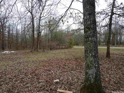 24 Michelle, Austin, AR 72023 photo 18