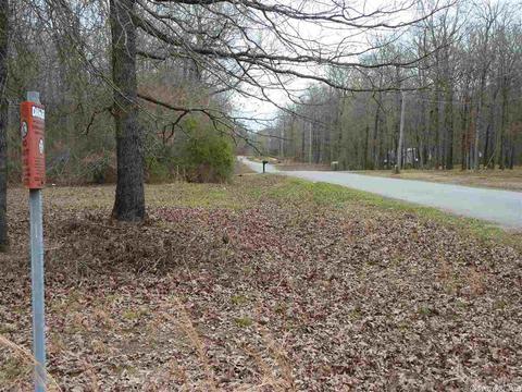 24 Michelle, Austin, AR 72023 photo 14