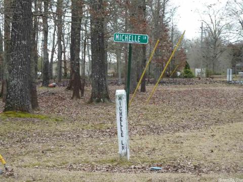 24 Michelle, Austin, AR 72023 photo 21