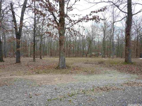 24 Michelle, Austin, AR 72023 photo 9
