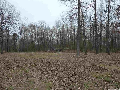 24 Michelle, Austin, AR 72023 photo 12