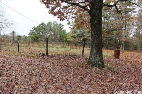 603 Gaslight Rd, Clinton, AR 72031 photo 5