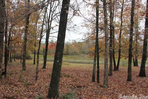 603 Gaslight Rd, Clinton, AR 72031 photo 6