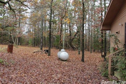 603 Gaslight Rd, Clinton, AR 72031 photo 4