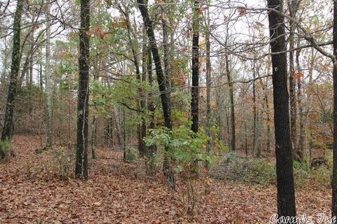603 Gaslight Rd, Clinton, AR 72031 photo 7