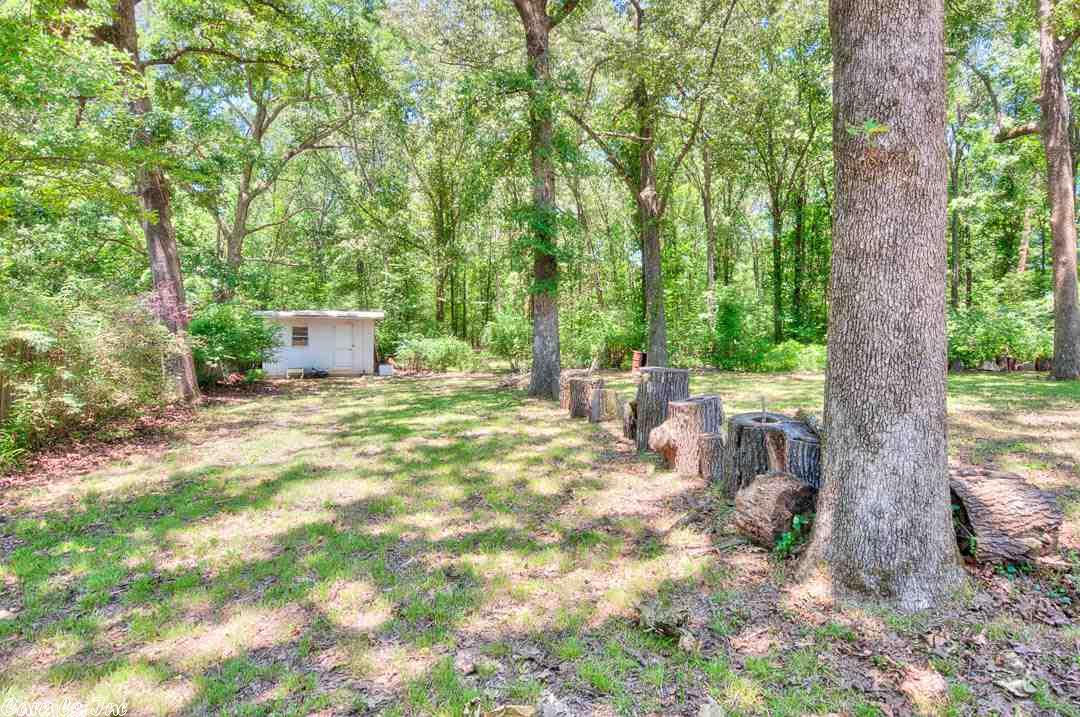 13316 Alexander Rd, Alexander, AR 72002 photo 28