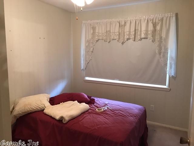 134 Willow Ln, Mena, AR 71953 photo 12