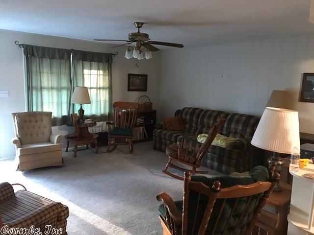 134 Willow Ln, Mena, AR 71953 photo 11