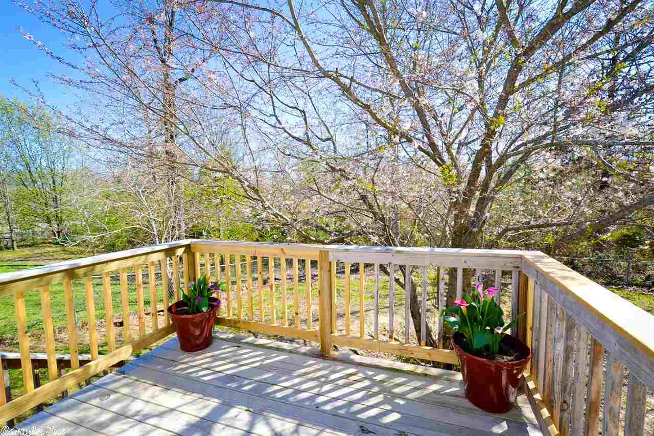 12923 Carousel Ct, Alexander, AR 72002 photo 26