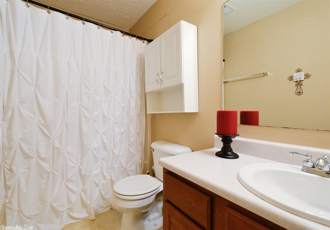 12923 Carousel Ct, Alexander, AR 72002 photo 18