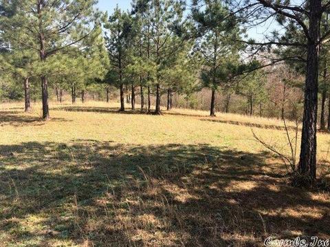 1799 Broken Bow, Bismarck, AR 71929 photo 8